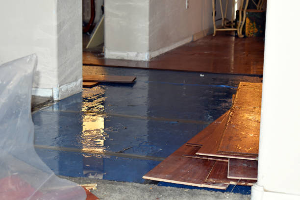 Professional Water Damage technician working in Aquilla, TX